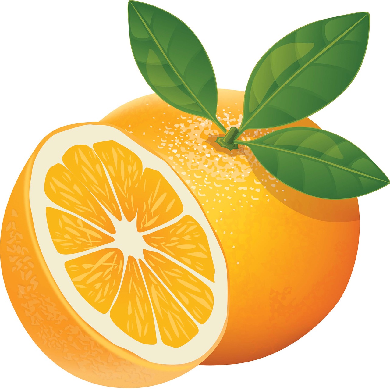 orange, fruit, citrus-832278.jpg